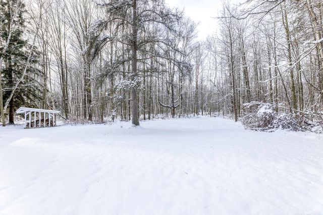 2675 N Ridge Road, Forester Twp, MI 48419