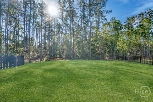 217 Higginson Drive, Richmond Hill, GA 31324