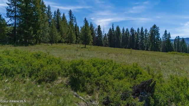 Parcel 6 Liberty Lane, Santa, ID 83866