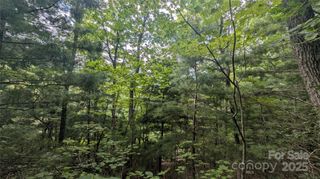 00 Pinewood Drive, Waynesville, NC 28786