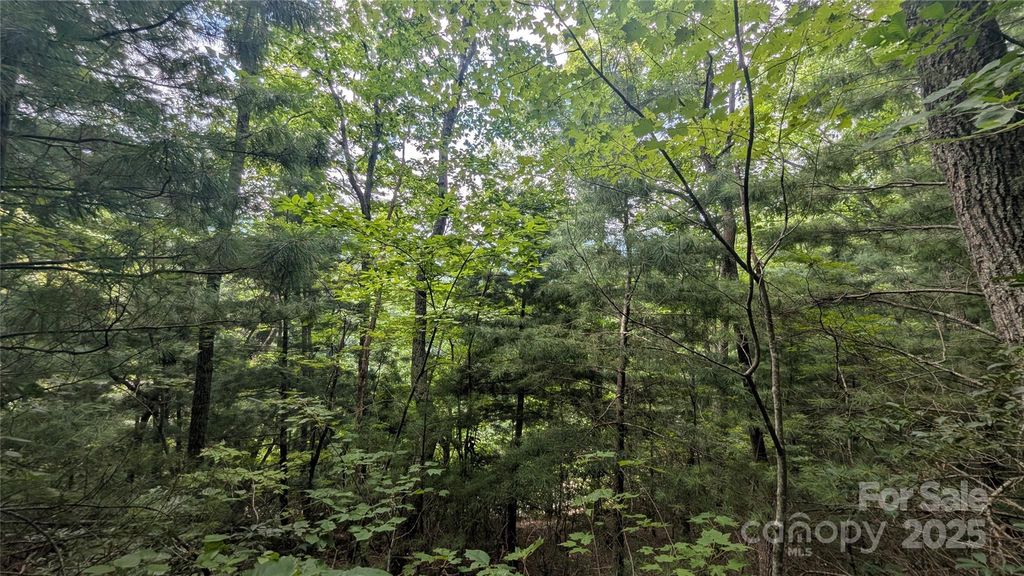 00 Pinewood Drive, Waynesville, NC 28786