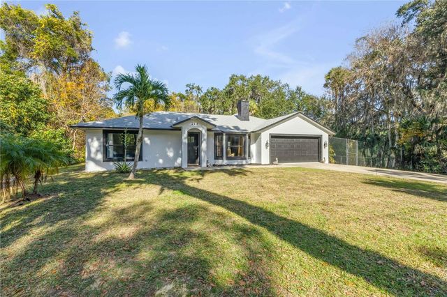 223 W ARIEL ROAD, Edgewater, FL 32141