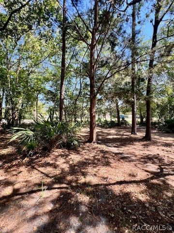 10 Jamaica Street, Homosassa, FL 34446