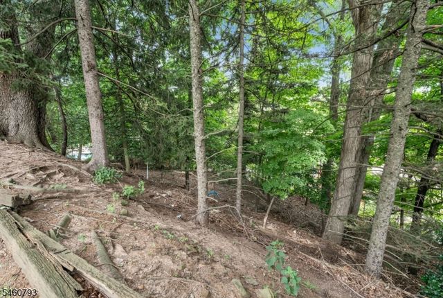 15 High Ct, Little Falls Twp., NJ 07424