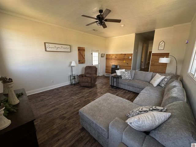 2801 Golo Rd, Mayfield, KY 42066