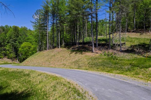 LT 343 Shallow Branch Drive, Talking Rock, GA 30175