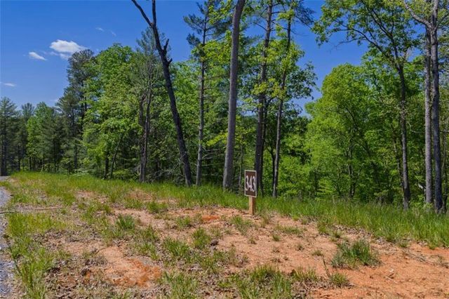LT 343 Shallow Branch Drive, Talking Rock, GA 30175