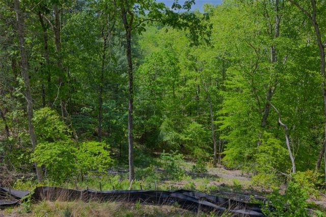 LT 343 Shallow Branch Drive, Talking Rock, GA 30175
