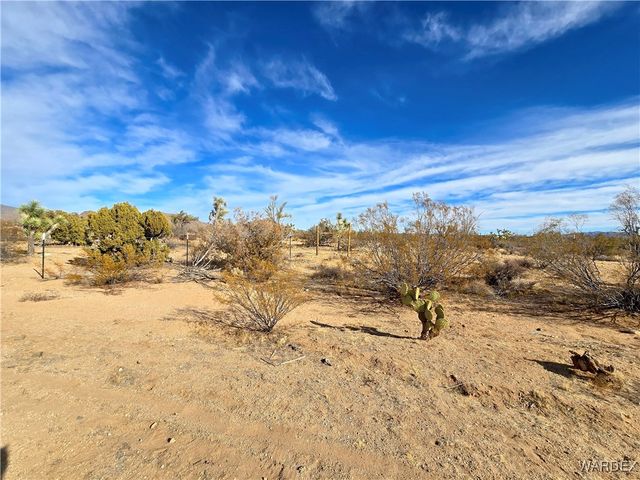 19688 S Diamondback Road, Yucca, AZ 86438