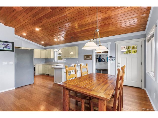 485 High Creek Rd, Fairplay, CO 80440