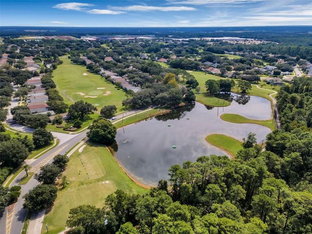 9073 SAINT ANDREWS WAY, Mount Dora, FL 32757
