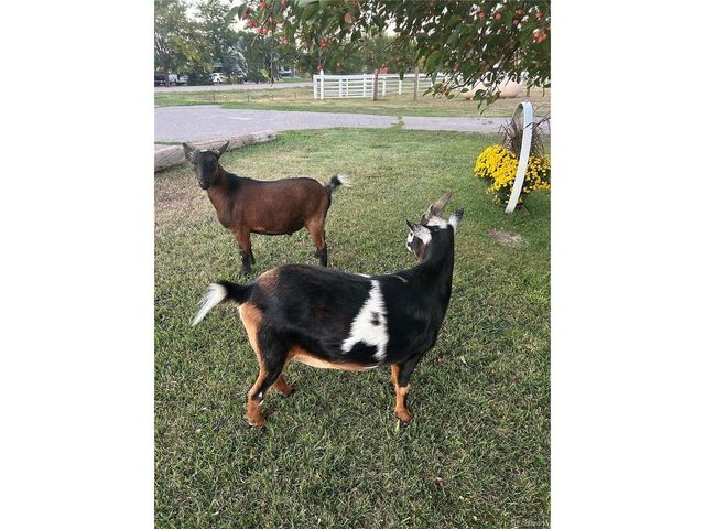 5948 King Ct, Parker, CO 80134