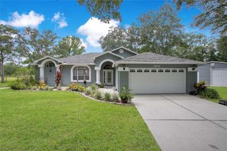19616 LIVINGSTON AVENUE, Lutz, FL 33559