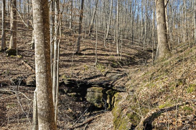 100 Cindy Cir, Tullahoma, TN 37388