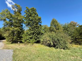 0 Owl Hollow Road Lot 2, Palmer, TN 37365