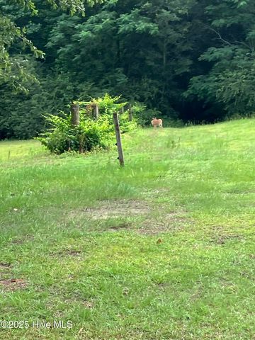 2326 Us-117, Faison, NC 28341