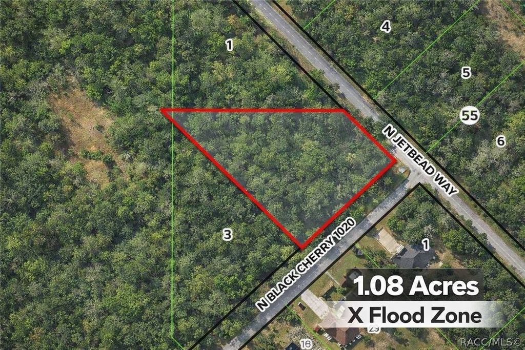 8292 N Black Cherry Terrace, Crystal River, FL 34428