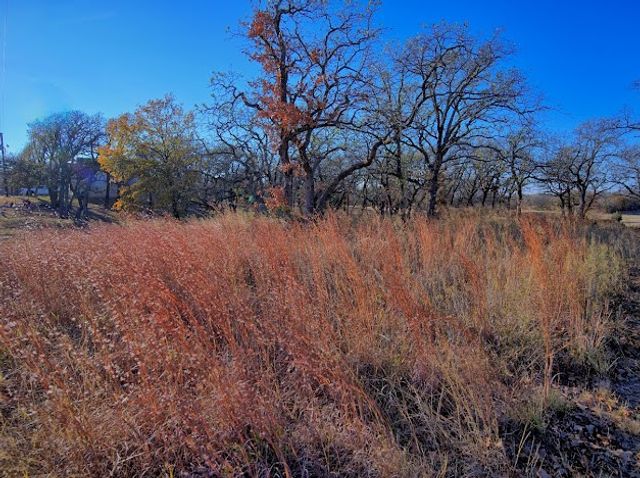 125 Diamond Oaks Drive, Nocona, TX 76255