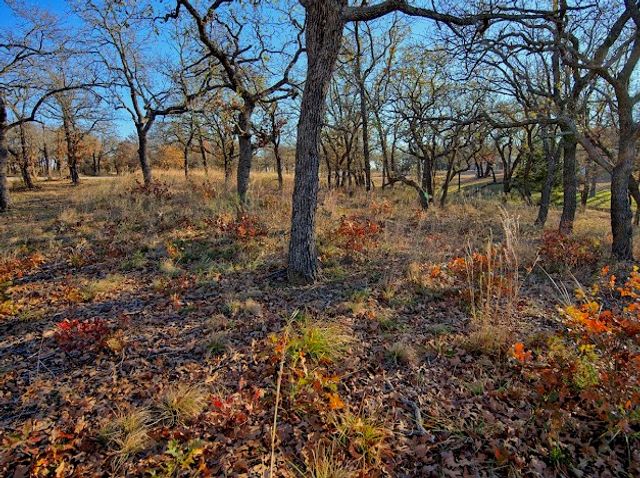 125 Diamond Oaks Drive, Nocona, TX 76255