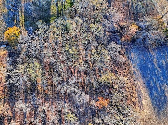 125 Diamond Oaks Drive, Nocona, TX 76255