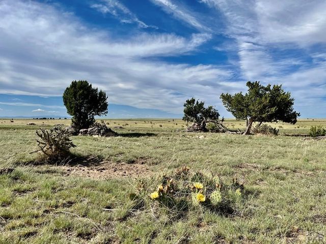 Lot 102 Vista View, Walsenburg, CO 81089