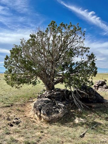 Lot 102 Vista View, Walsenburg, CO 81089