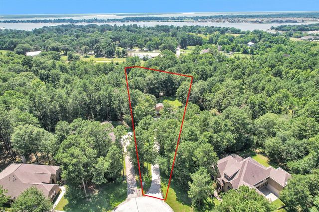 11310 Longmire Creek Court, Conroe, TX 77304