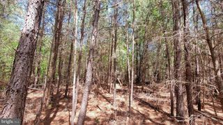 48560 EVERGREEN PARK ROAD, Lexington Park, MD 20653