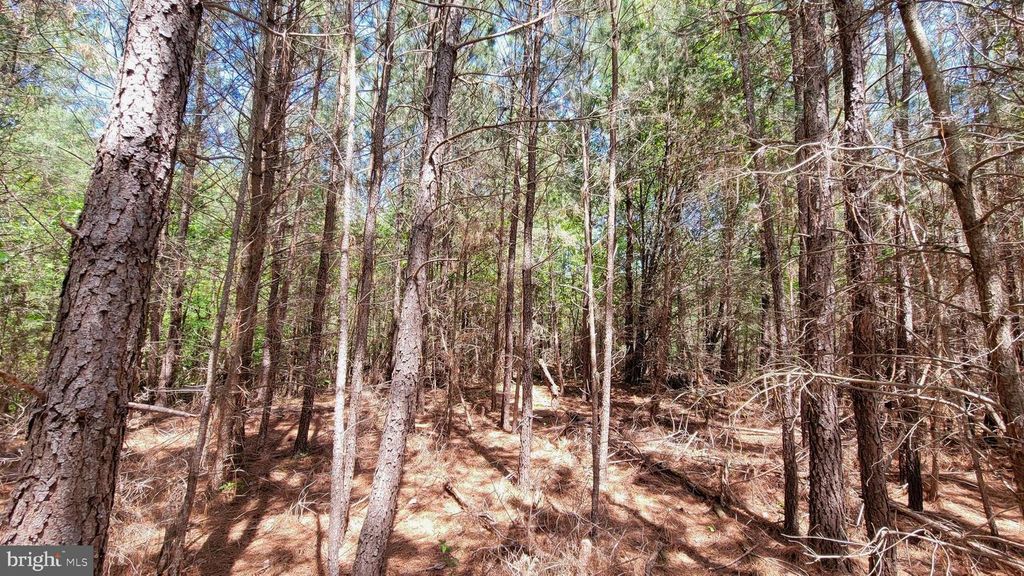 48560 EVERGREEN PARK ROAD, Lexington Park, MD 20653
