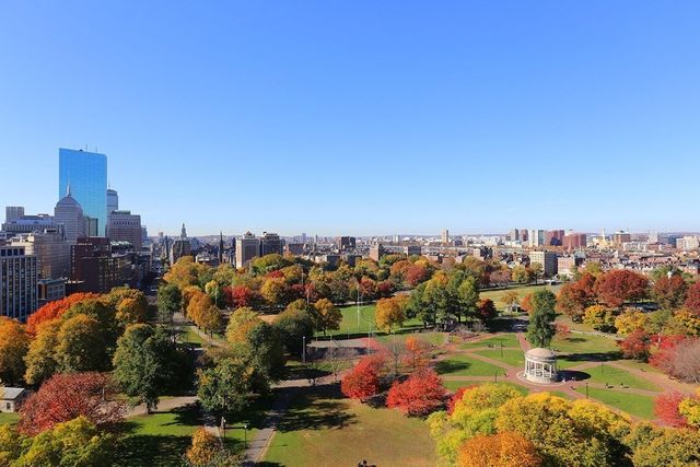 170 Tremont Street 1803, Boston, MA 02111