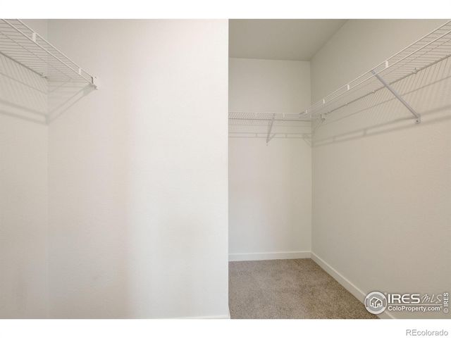 281 Cardinal Street, Johnstown, CO 80534