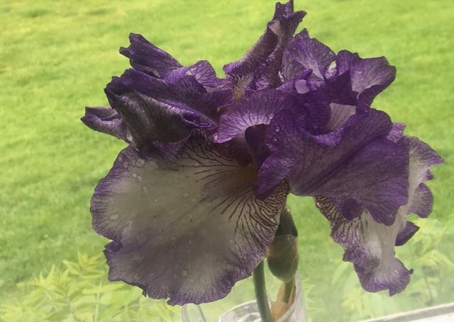 24 Perley Ave, Peabody, MA 01960