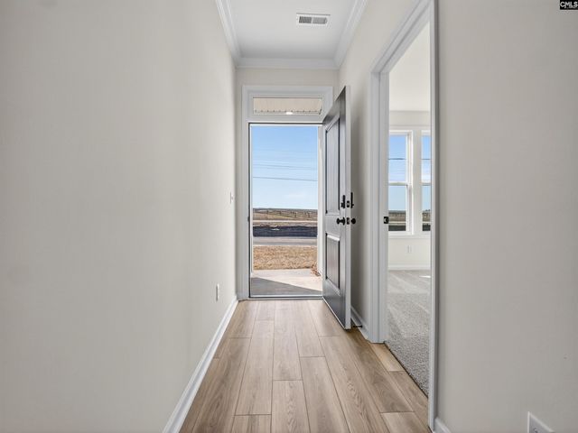 648 Old Charleston Road, Pelion, SC 29123