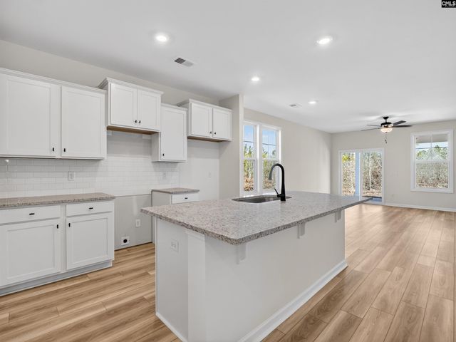 648 Old Charleston Road, Pelion, SC 29123