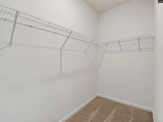 648 Old Charleston Road, Pelion, SC 29123