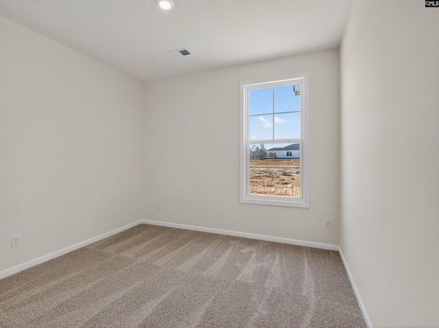 648 Old Charleston Road, Pelion, SC 29123