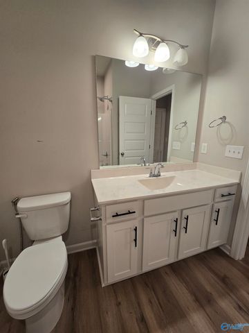 120 Pomelo Street, Huntsville, AL 35811