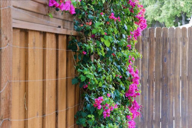 1486 Burrell Court, San Jose, CA 95126