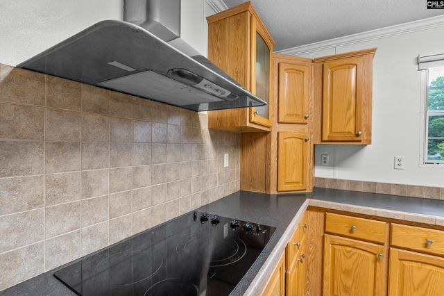 205 Newberry Shores Drive, Prosperity, SC 29127