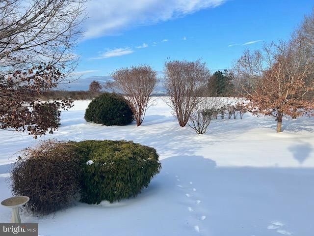 3460 INDIAN RUN ROAD, Amissville, VA 20106