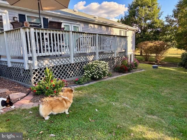 3460 INDIAN RUN ROAD, Amissville, VA 20106