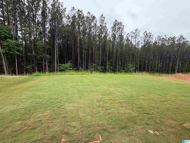 2165 CHELSEA PARK BEND, Chelsea, AL 35043