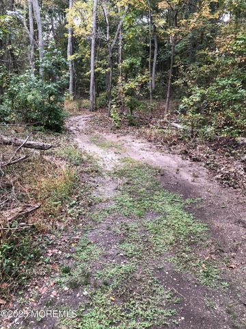 1042 Maxim Southard Road, Howell, NJ 07731