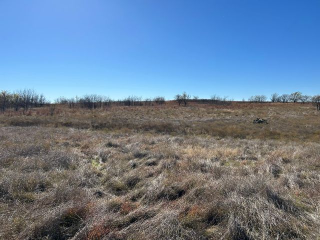 2820 Lucky Pepper Drive, Granbury, TX 76049