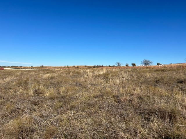 2820 Lucky Pepper Drive, Granbury, TX 76049