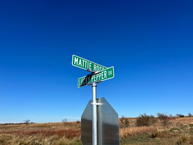 2820 Lucky Pepper Drive, Granbury, TX 76049