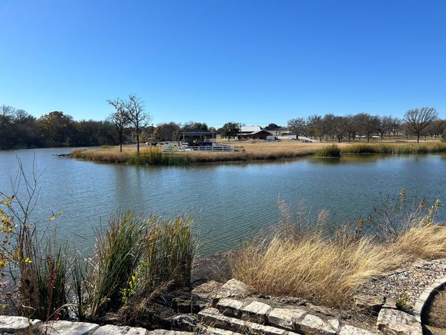 2820 Lucky Pepper Drive, Granbury, TX 76049