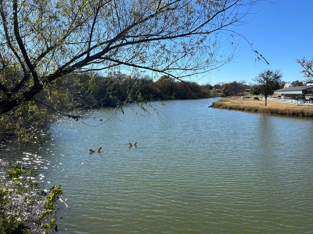 2820 Lucky Pepper Drive, Granbury, TX 76049