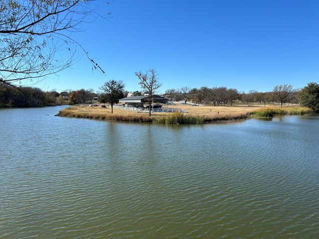 2820 Lucky Pepper Drive, Granbury, TX 76049