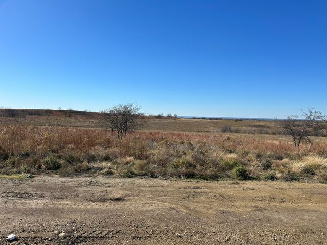 2820 Lucky Pepper Drive, Granbury, TX 76049